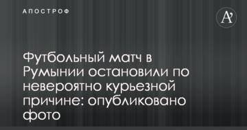 Футбольный матч в Румынии остановили по невероятно курьезной причине: опубликовано фото