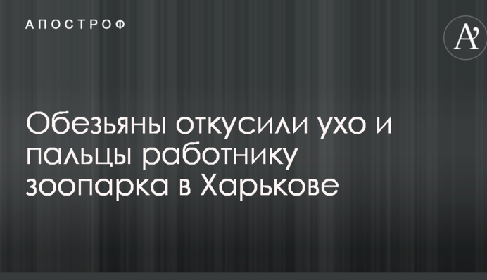 Обезьяны откусили ухо и пальцы работнику зоопарка в Харькове: опубликованы фото