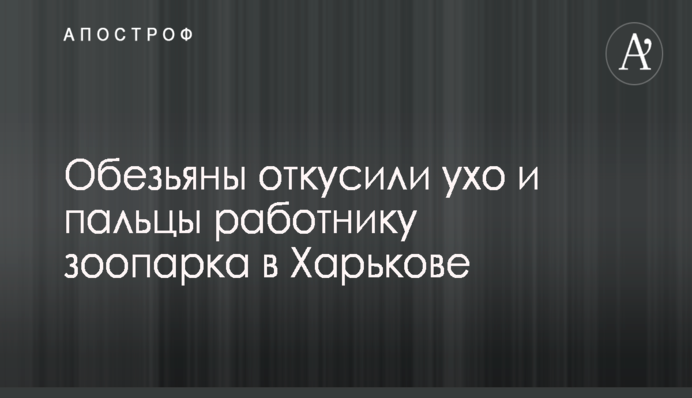 Українські прикордонники понесли втрати в зоні АТО