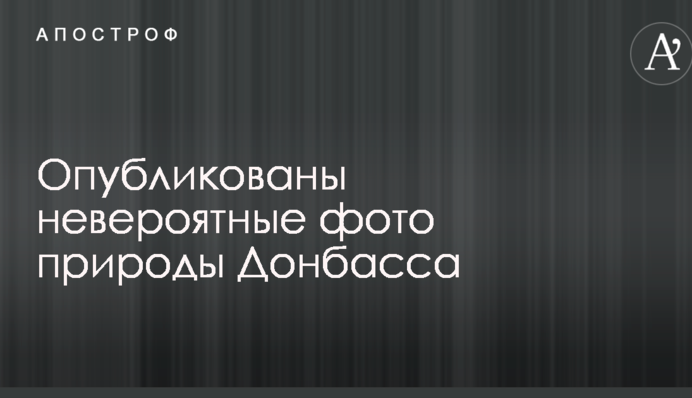 Природа врятувалася під час війни: мережі захопили неймовірні фото з Донбасу