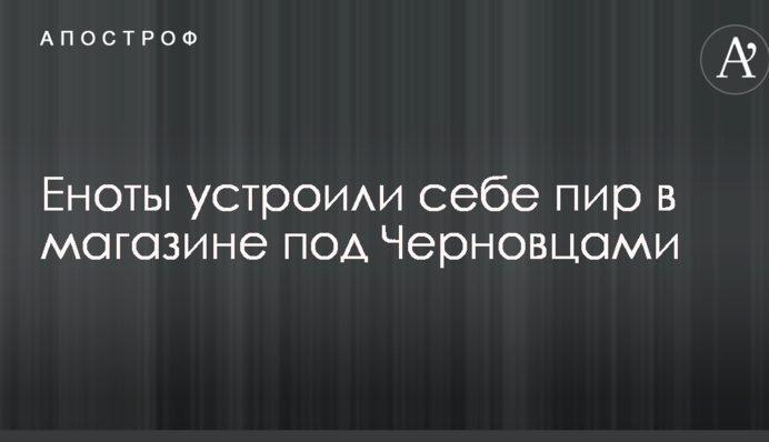 Еноты устроили себе пир в магазине под Черновцами: опубликованы фото последствий