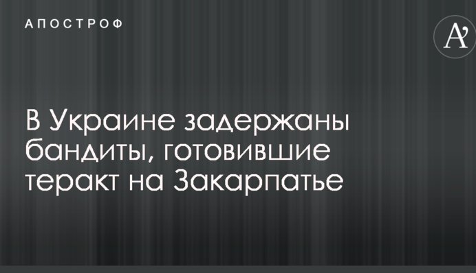 В Україні затримані бандити, які готували теракт на Закарпатті: опубліковані фото