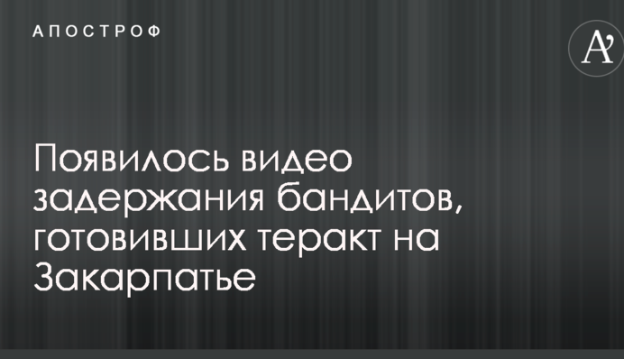 З'явилося відео затримання бандитів, які готували теракт на Закарпатті