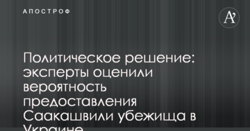 Политическое решение: эксперты оценили вероятность предоставления Саакашвили убежища в Украине