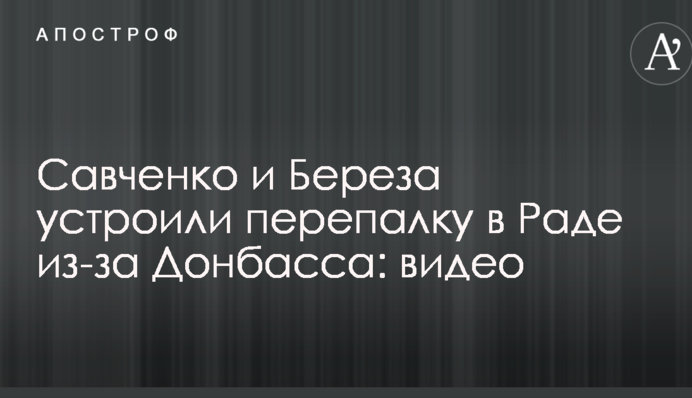 Савченко и Береза устроили перепалку в Раде из-за Донбасса: опубликовано видео