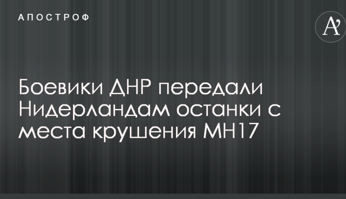 Боевики ДНР передали Нидерландам останки с места крушения MH17