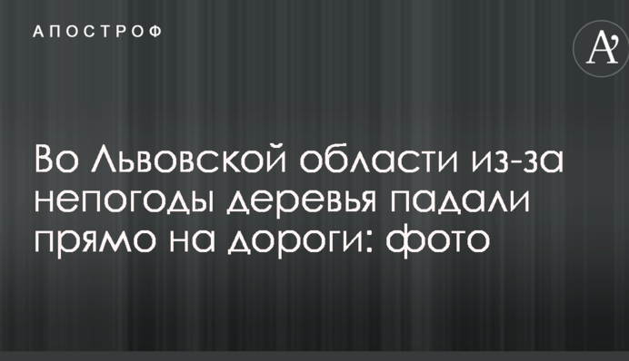 Во Львовской области из-за непогоды деревья падали прямо на дороги: фото