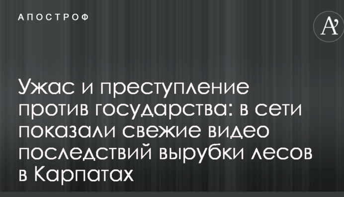 Жах і злочин проти держави: у мережі показали свіжі відео наслідків вирубки лісів у Карпатах