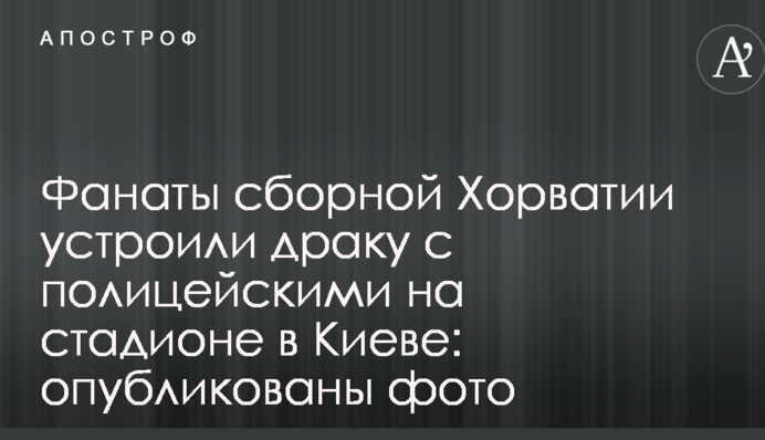 Фанати збірної Хорватії влаштували бійку з поліцейськими на стадіоні в Києві: опубліковано фото