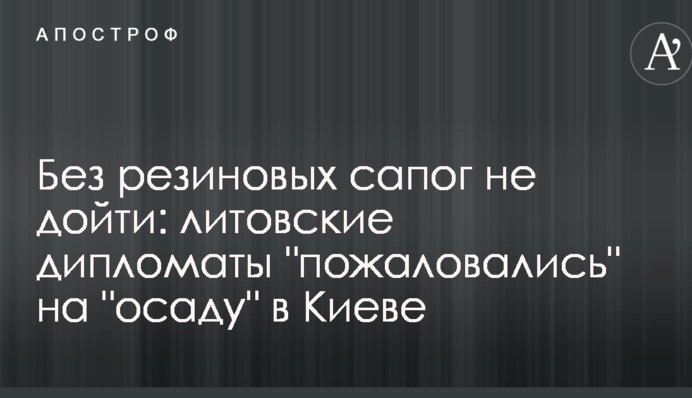 Без резиновых сапог не дойти: литовские дипломаты 