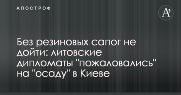 Без гумових чобіт не дійти: литовські дипломати "поскаржилися" на "облогу" в Києві