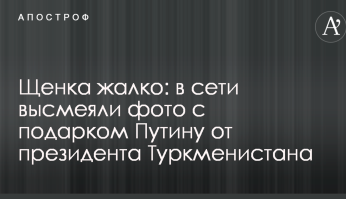 Щенка жалко: в сети высмеяли фото с подарком Путину от президента Туркменистана