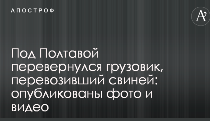Під Полтавою перекинулася вантажівка, що перевозила свиней: опубліковані фото і відео