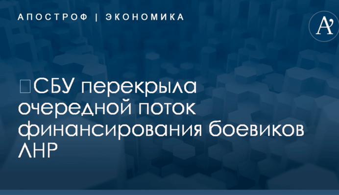 ​СБУ перекрыла очередной поток финансирования боевиков ЛНР: опубликованы фото