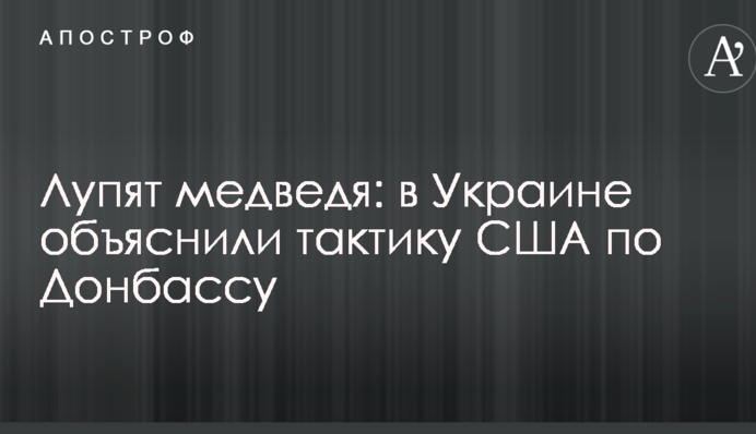 Лупят медведя: в Украине объяснили тактику США по Донбассу