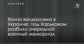 Матиос несет несусветный бред: Карп рассказал о проблеме контроля над границей с Венгрией