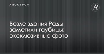 Біля будівлі Ради помітили гаубиці: ексклюзивні фото