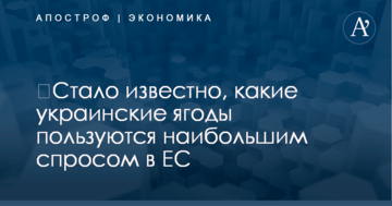 ​Стало известно, какие украинские ягоды пользуются наибольшим спросом в ЕС