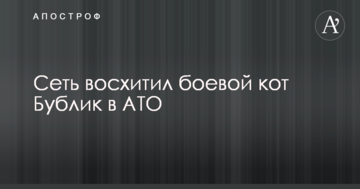 Мережу захопив бойовий кіт "Бублик" в АТО: опубліковано фото