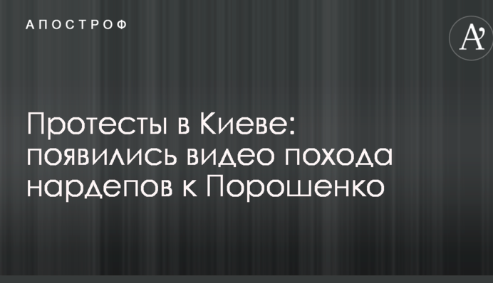 Протесты в Киеве: появились видео похода нардепов к Порошенко