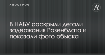 Пытался вывезти информацию: в НАБУ раскрыли детали задержания Розенблата и показали фото обыска