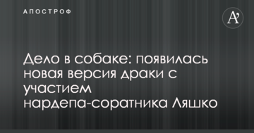 Справа в собаці: з'явилася нова версія бійки з участю нардепа-соратника Ляшко