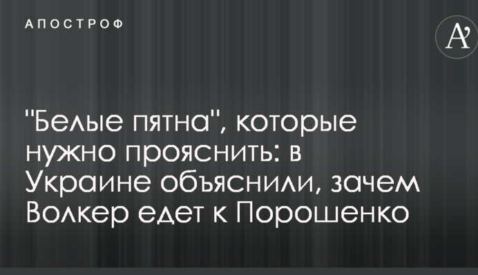 "Белые пятна", которые нужно прояснить: в Украине объяснили, зачем Волкер едет к Порошенко