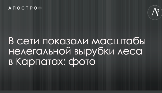 У мережі показали масштаби нелегальної вирубки лісу в Карпатах: опубліковані фото