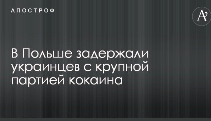 У Польщі затримали українців з великою партією кокаїну: опубліковано фото