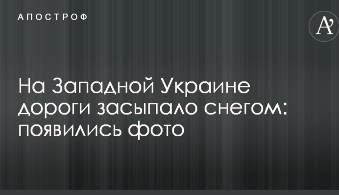 На Західній Україні дороги засипало снігом: з'явилися фото
