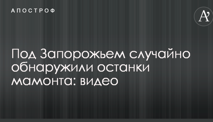 Під Запоріжжям випадково виявили останки мамонта: відео