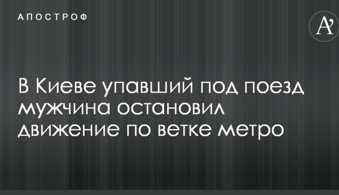 У Києві чоловік, який впав під поїзд, зупинив рух по гілці метро