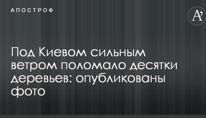 Під Києвом сильним вітром поламало десятки дерев: опубліковано фото