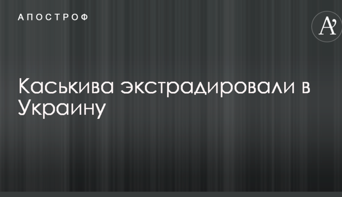 ​Топ-чиновника времен Януковича экстрадировали в Украину: опубликованы фото