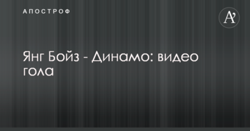 Янг Бойз - Динамо: видео гола