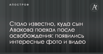 Стало відомо, куди син Авакова поїхав після звільнення: з'явилися цікаві фото і відео