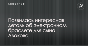 Дело "рюкзаков Авакова": появилась интересная деталь об электронном браслете для сына министра
