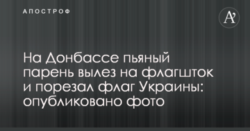 На Донбасі п'яний хлопець виліз на флагшток і порізав прапор України: опубліковано фото