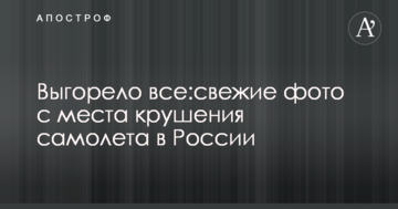 Вигоріло все: з'явилися свіжі фото з місця аварії літака в Росії