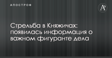 Стрілянина в Княжичах: з'явилася інформація про важливого фігуранта справи