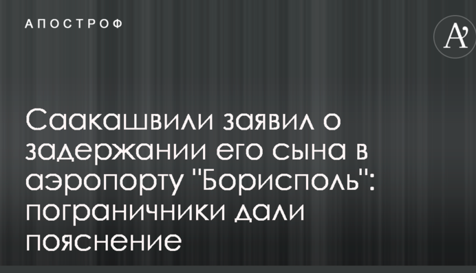 Саакашвили заявил о задержании его сына в аэропорту 