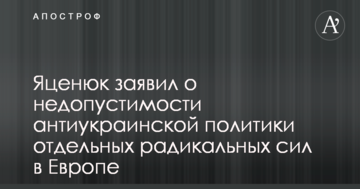Яценюк заявил о недопустимости антиукраинской политики отдельных радикальных сил в Европе