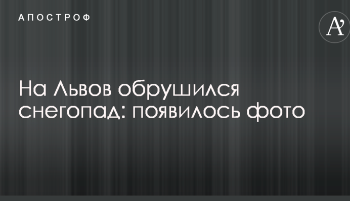 На Львів обрушився снігопад: з'явилося фото