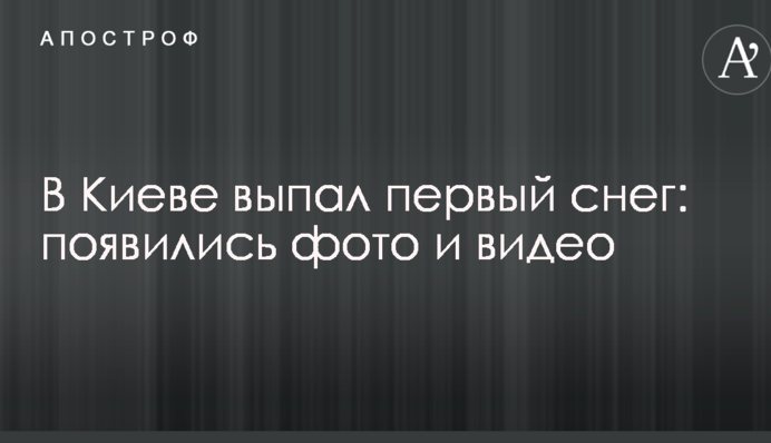 Мережі в захопленні від снігу в Києві: з'явилися фото і відео