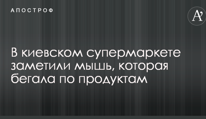 У київському супермаркеті помітили мишу, яка бігала по продуктам: опубліковано фото