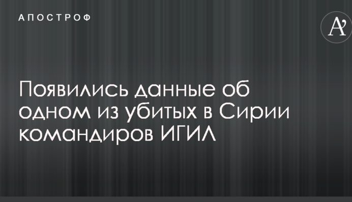 З'явилися дані про одного з убитих в Сирії командирів 