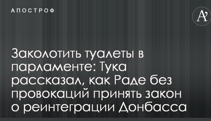 Заколотить туалеты в парламенте: Тука рассказал, как Раде без провокаций принять закон о реинтеграции Донбасса