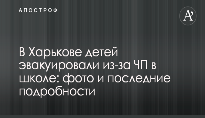Журналист рассказал о манипуляциях с распределением должностей в ГФС