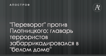 "Переворот" проти Плотницького: ватажок терористів забарикадувався в "білому домі"