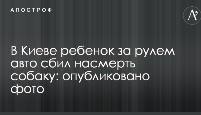 В Киеве ребенок за рулем авто сбил насмерть собаку: опубликовано фото